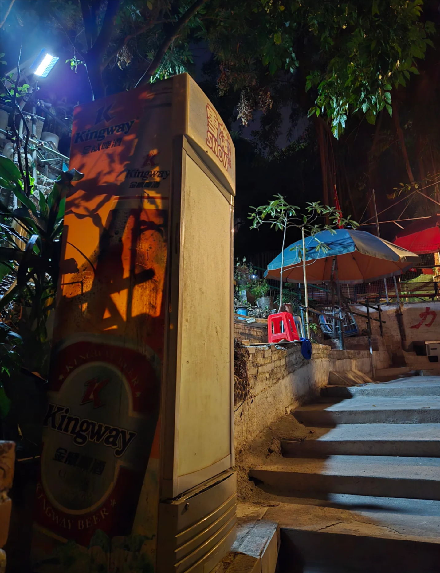 東張西望跟進｜主教山官地疑再被佔用　家具廁所樣樣有如「五星級的家」 (網上圖片)