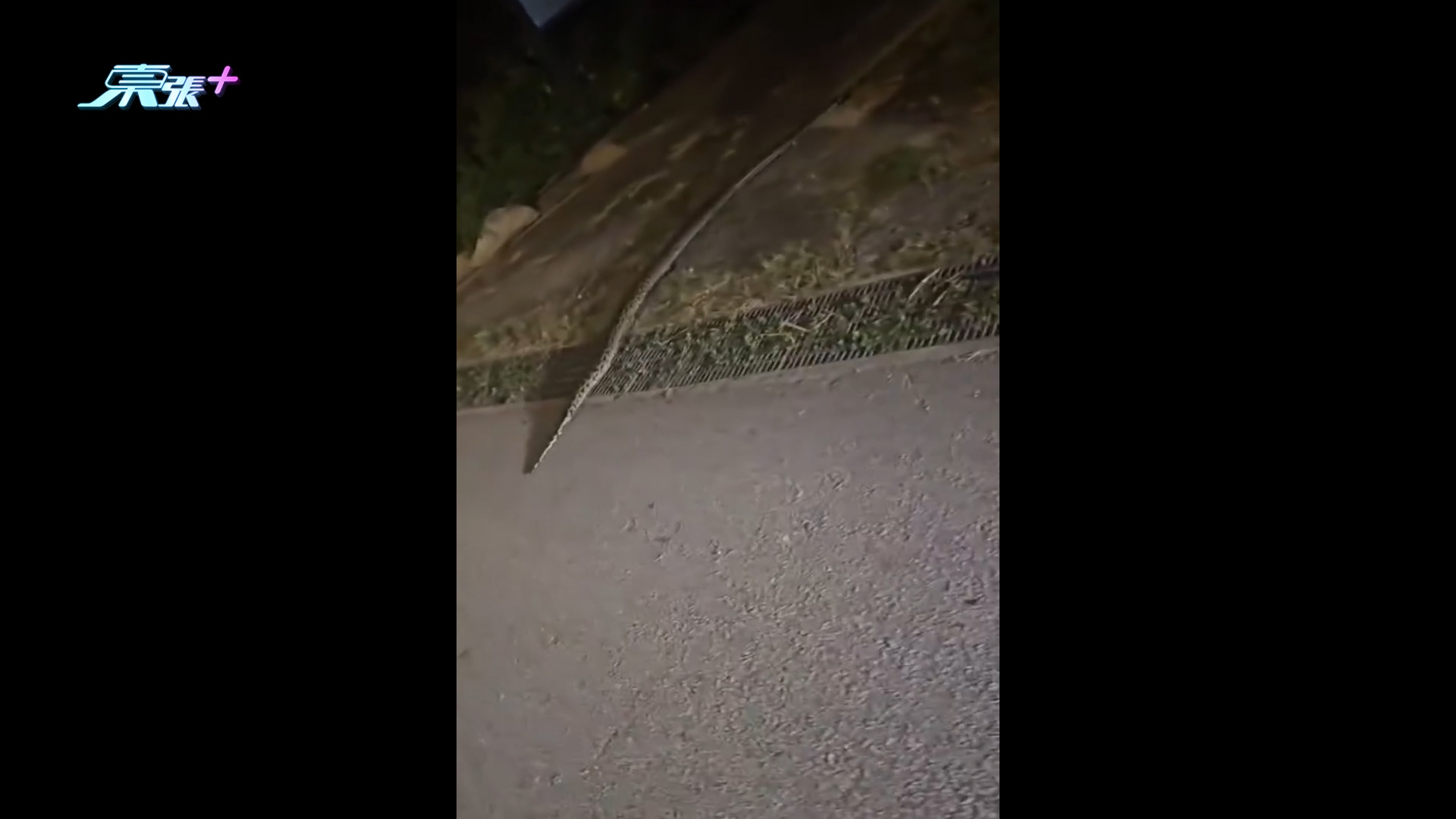 元朗錦田驚現蛇蹤　大蛇出沒搵食嚇親人　街坊笑稱：應算作野生動物園
