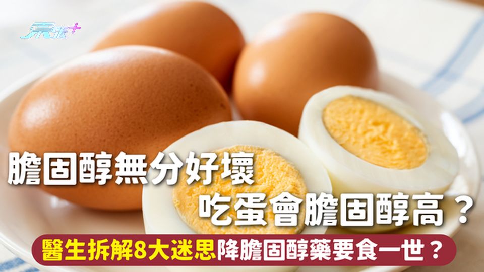 膽固醇 | 膽固醇無分好壞 吃蛋會膽固醇高？醫生拆解8大迷思降膽固醇藥要食一世？