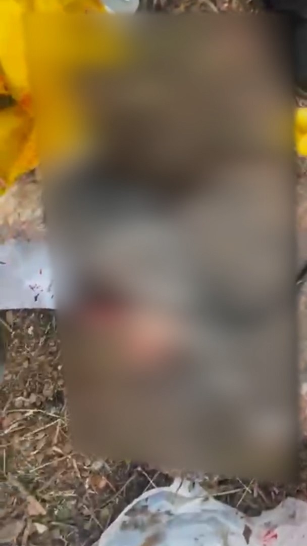 內地多個貓義工及動物救援微信群組突遭不明人士湧入，他們發送大量涉及虐打、焚燒、肢解，甚至性侵貓隻的影片、照片。（網上影片截圖）