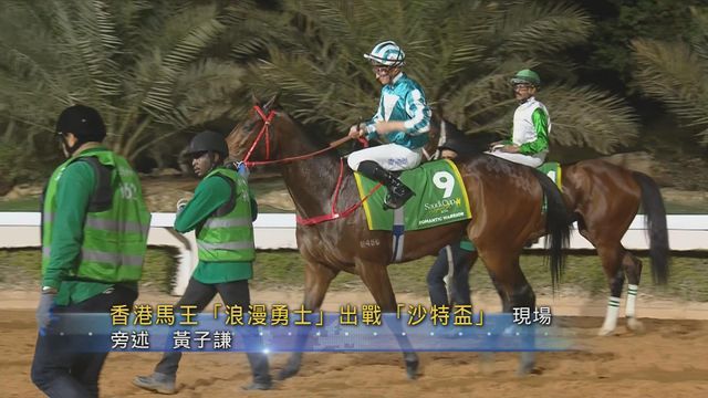 香港馬王「浪漫勇士」沙特盃屈居第二，累積獎金破2億港元。