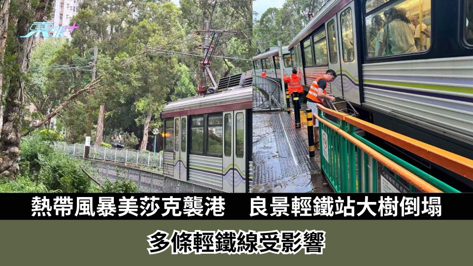 熱帶風暴美莎克襲港　良景輕鐵站大樹倒塌　多條輕鐵線受影響