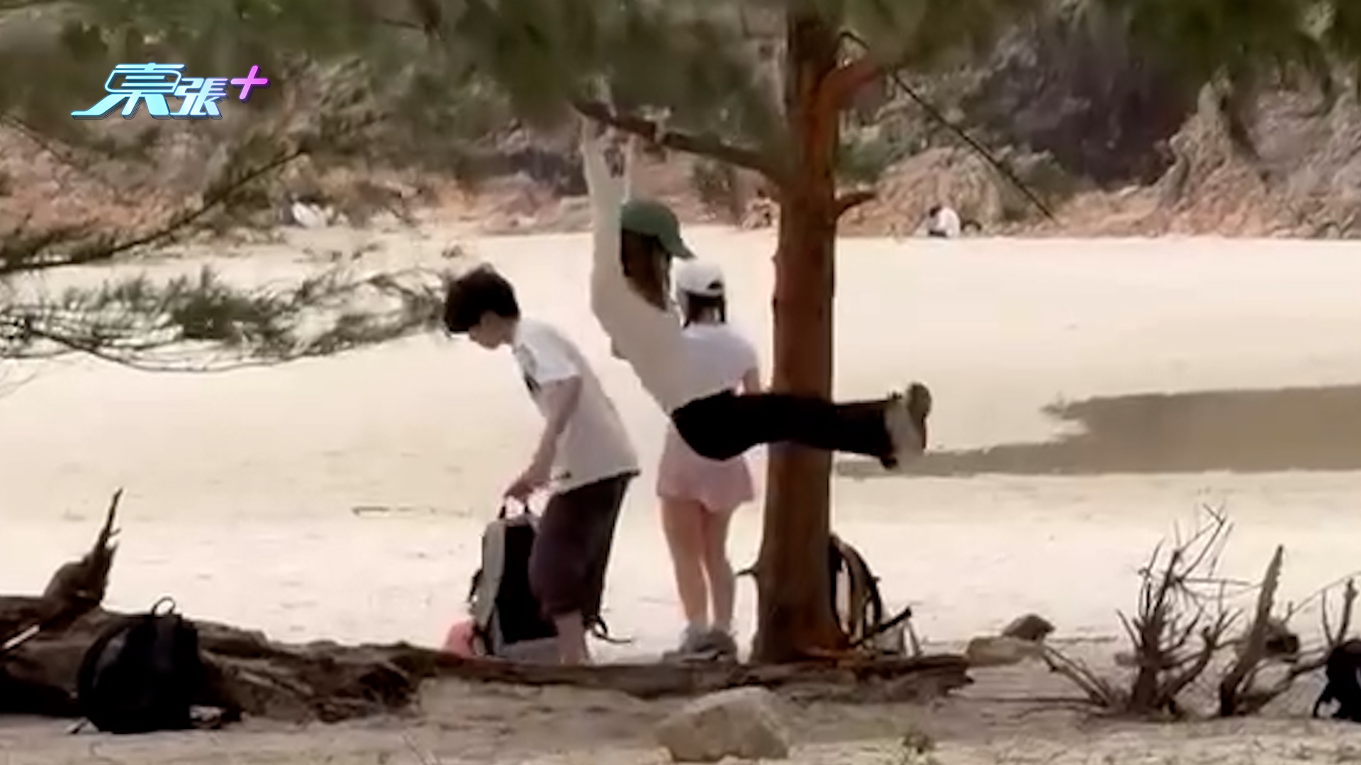 西貢浪茄灣內地客爬樹「抱樹打卡」　樹枝折斷市民勸阻無人理：扮聽唔到 （threads@mj.food.daily/）