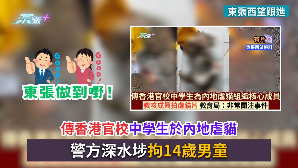 東張西望跟進｜傳香港官校中學生於內地虐貓　警方深水埗拘14歲男童