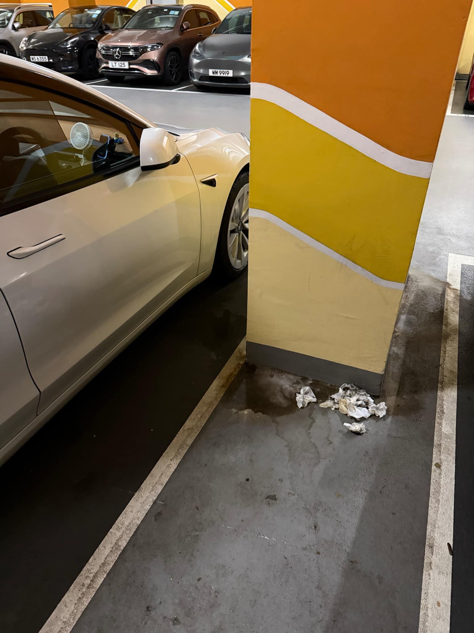 Tesla車主公德心欠奉！停車場亂拋垃圾