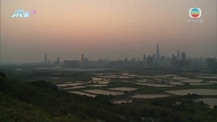 [MTV]多區日落美景