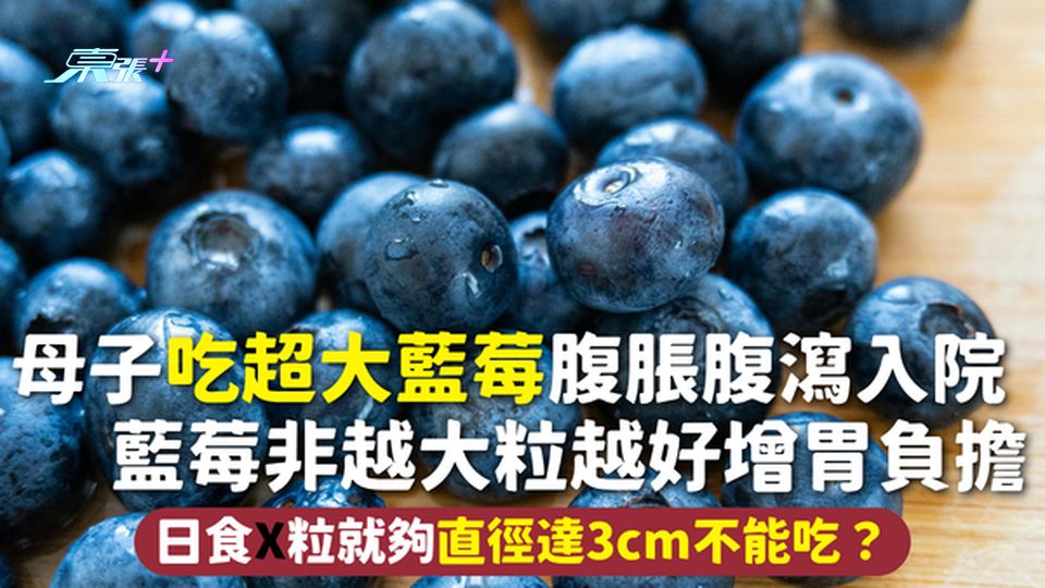 藍莓 | 母子吃超大藍莓腹脹腹瀉入院 藍莓非越大粒越好增胃負擔 日食X粒就夠直徑達3cm不能吃？
