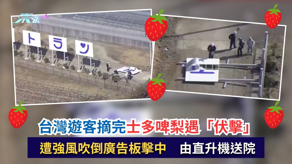 台灣遊客摘完士多啤梨遇「伏擊」　遭強風吹倒廣告板擊中　由直升機送院