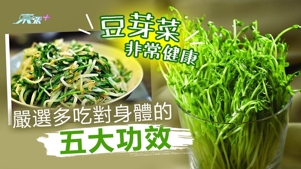 豆芽菜非常健康 嚴選多吃對身體的五大功效
