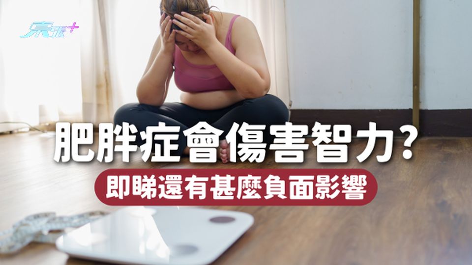 肥胖症不僅有害身體，更傷害智力！記憶力不好更會進食過量！