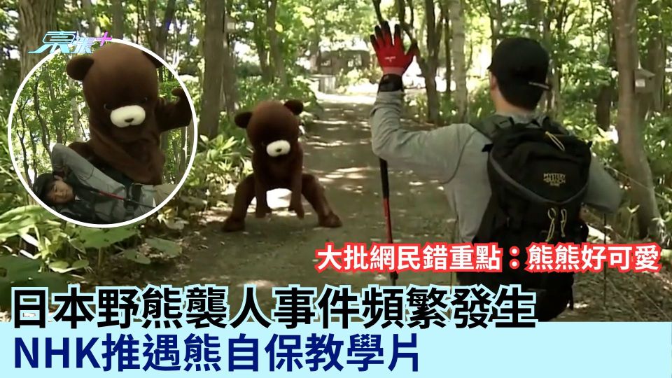 日本野熊襲人事件頻繁發生 NHK推遇熊自保教學片 大批網民錯重點：熊熊好可愛