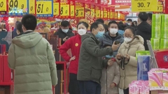 內地春節假期消費行業收入錄增長 分析指旅業應避免強迫購物等不良行為