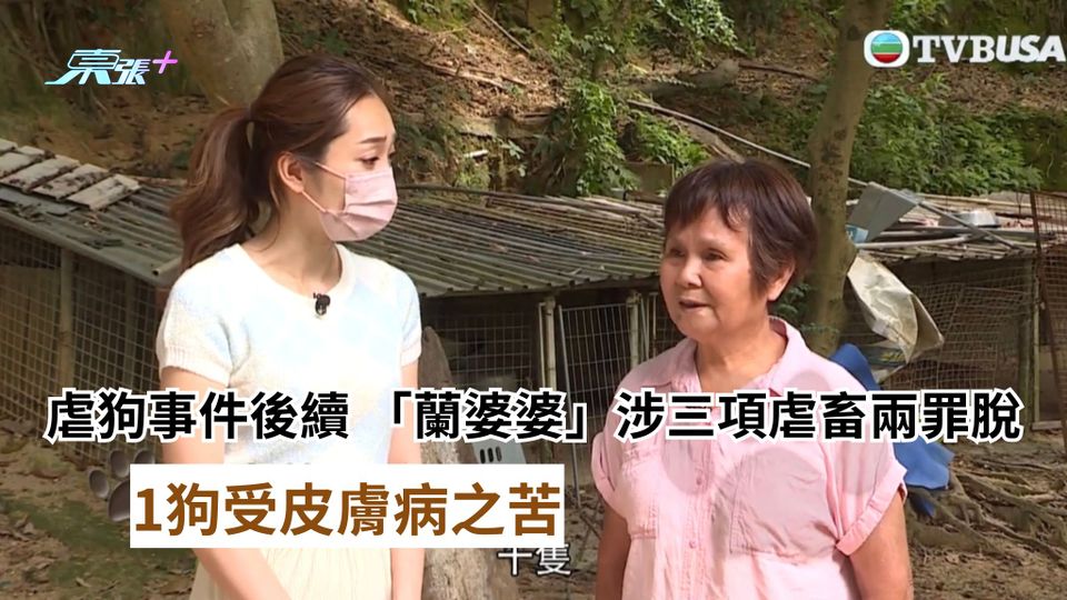 東張西望虐狗｜「蘭婆婆」涉虐三狗身患皮膚病 1罪成2罪脫  下月16日判刑