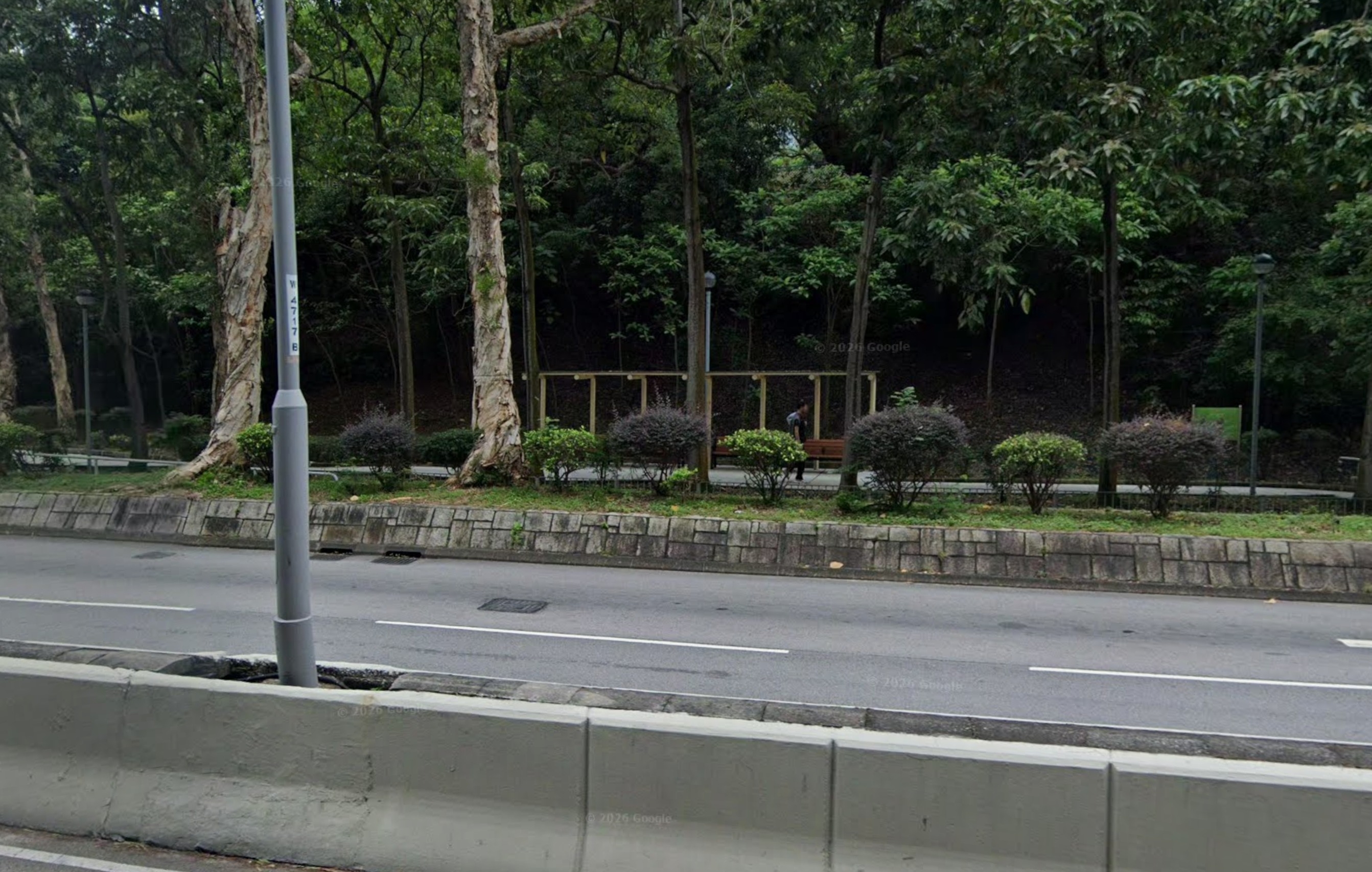 根據影片中的燈柱編號，事發地點疑似青衣楓樹窩路一帶。(Google Map)