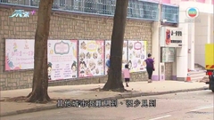 發展局指無意訂立《樹木法》有學者對政府決定失望