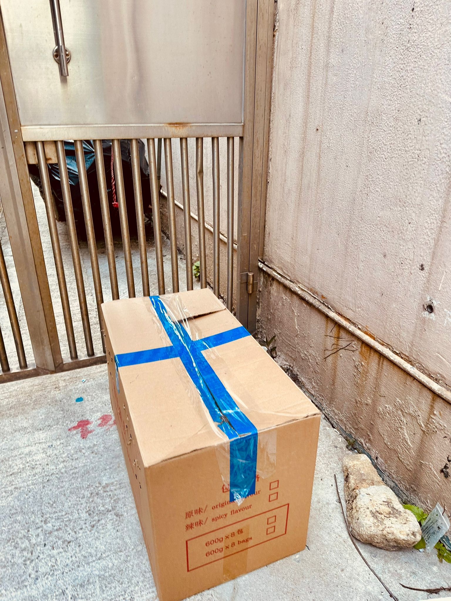 東張西望報料｜大廈門前密封紙箱竟藏5隻暹羅貓B？義工報《東張》揭發：猶如謀殺 (報料人提供東張)