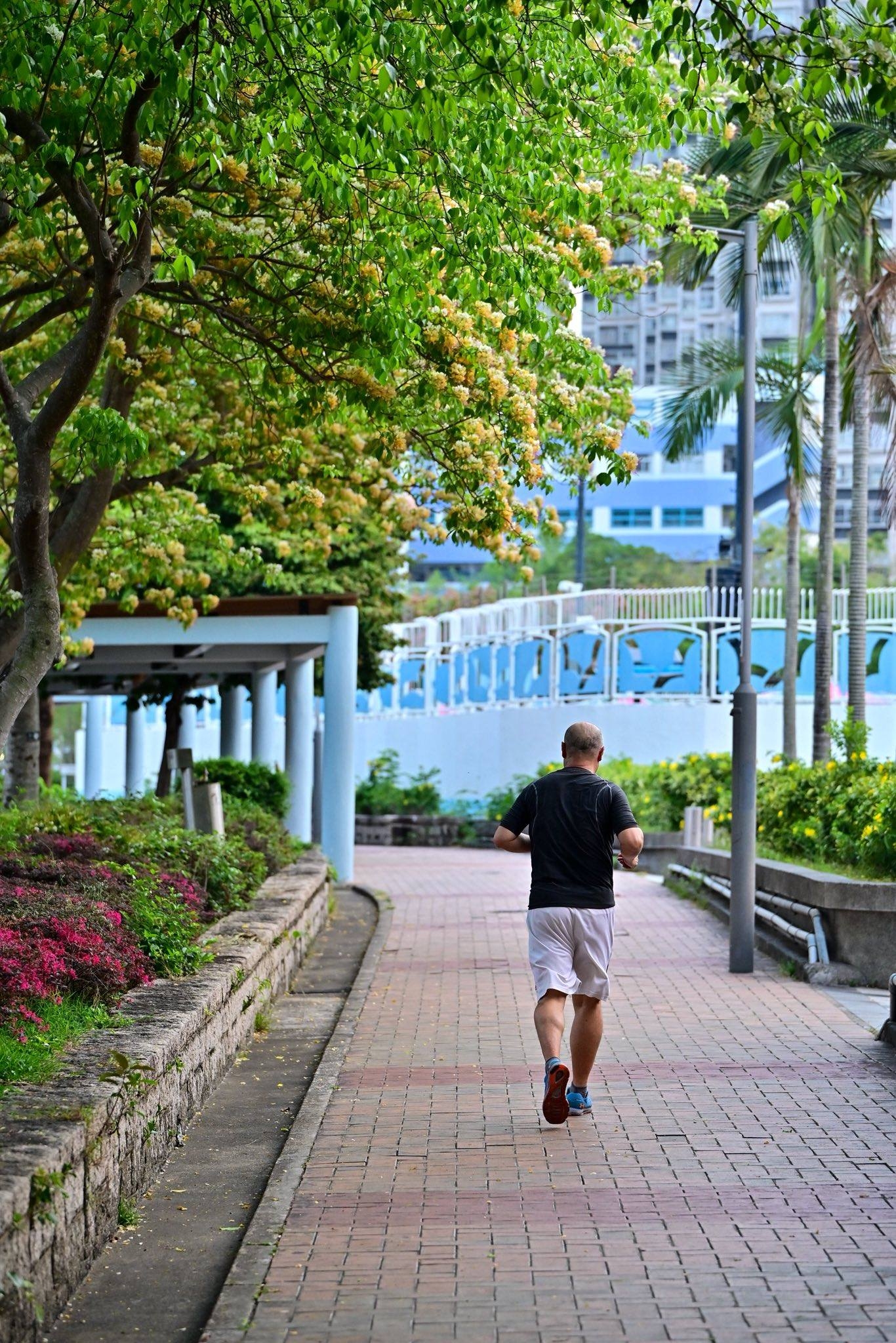 可能是街道的圖像