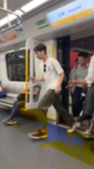 東鐵線內地客衝門爭位片網上瘋傳