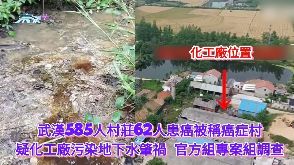 武漢585人村莊62人患癌被稱癌症村 疑化工廠污染地下水肇禍 官方組專案組調查