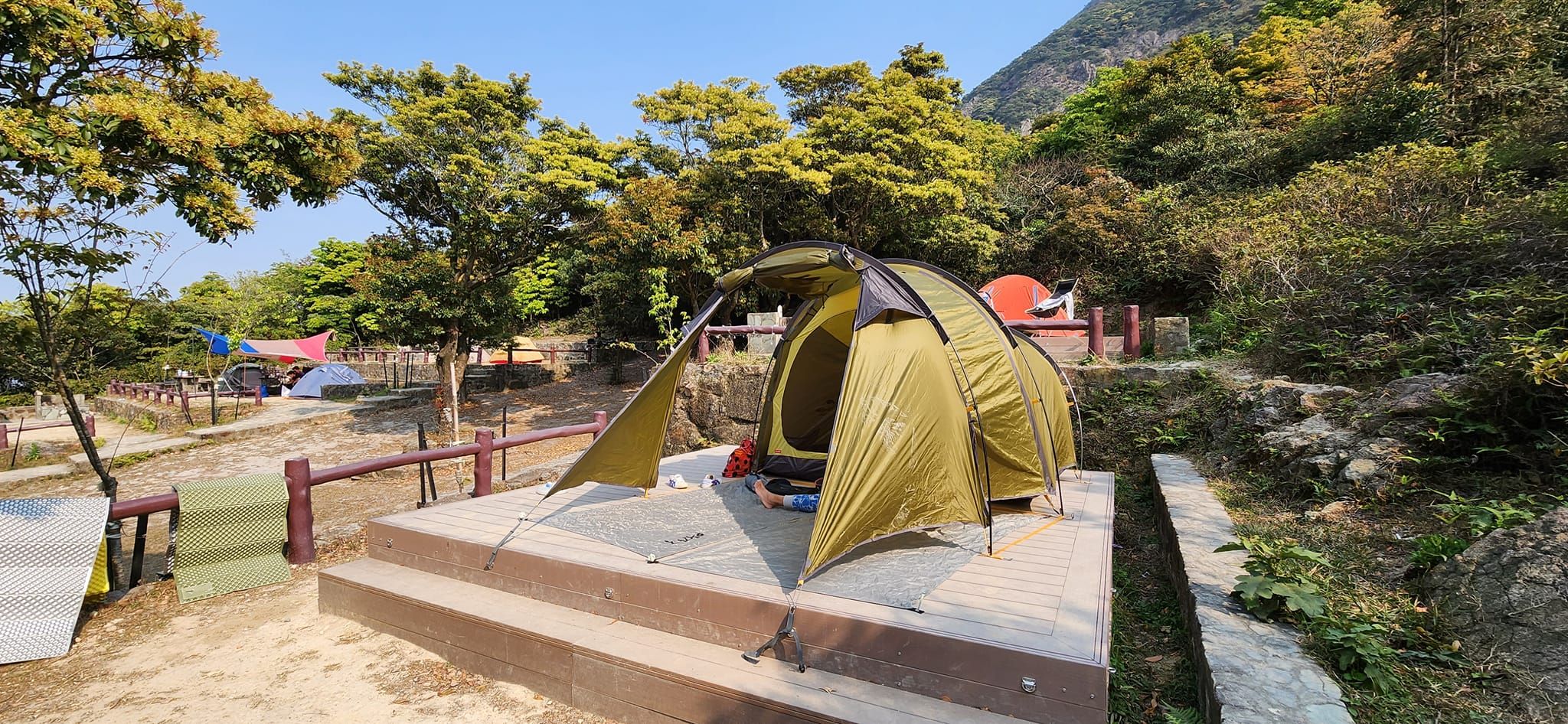 港男昂坪露營慘遭野豬攻擊帳篷。(網上圖片)