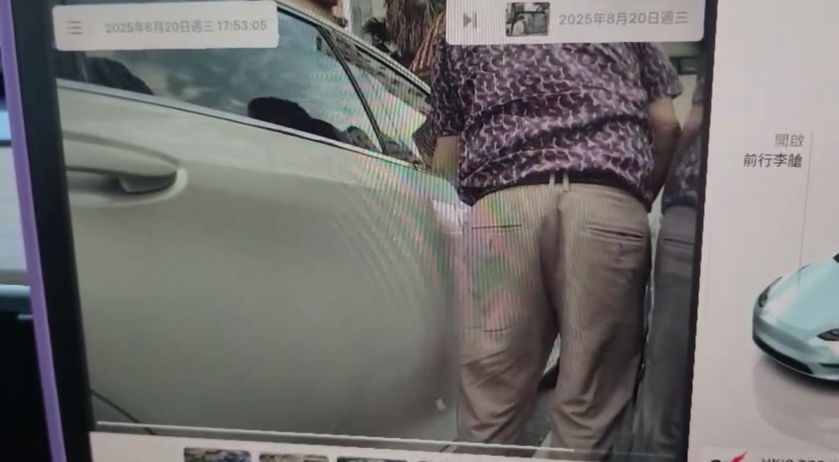 車Cam直擊｜阿叔千辛萬苦行出車門原來為隨地小便，過程全被拍下。（網上影片截圖）