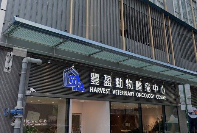 葵涌一間獸醫診所揭發一宗虐待動物案。(Googlemap)