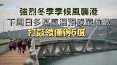 強烈冬季季候風將襲港 下周日多區氣溫預錄單位數 打鼓嶺僅得5度