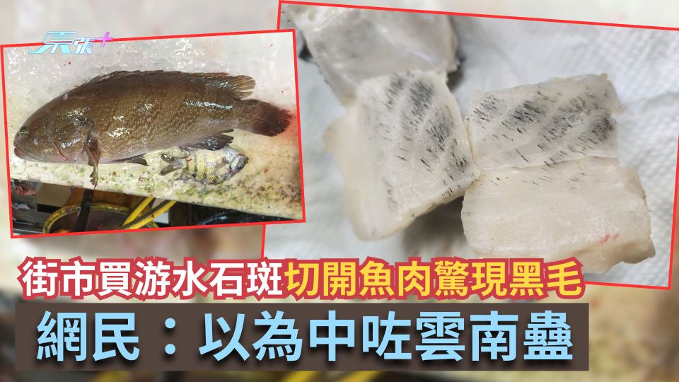 街市買游水石斑　街坊切開魚肉驚現黑毛惹熱議　網民：以為中咗雲南蠱