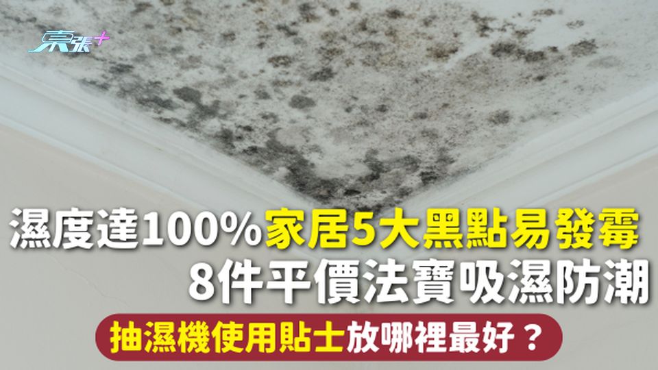家居潮濕 | 濕度達100%家居5大黑點易發霉 8件平價法寶吸濕防潮 抽濕機使用貼士放哪裡最好？