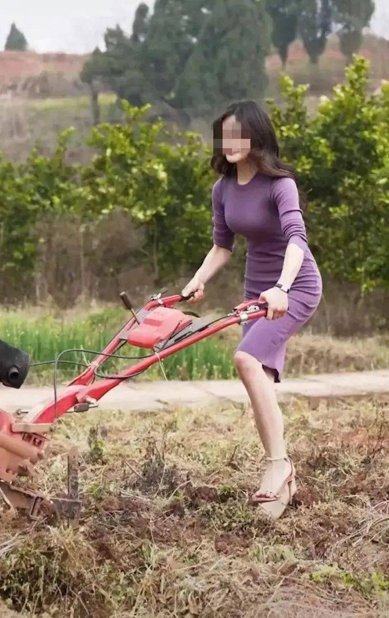 網民狠批「農媛」為流量十分無恥