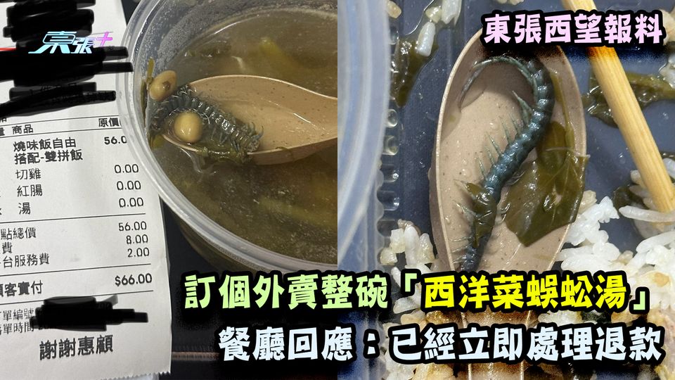 東張西望報料|訂個外賣整碗「西洋菜蜈蚣湯」 餐廳回應:已經立即處理退款