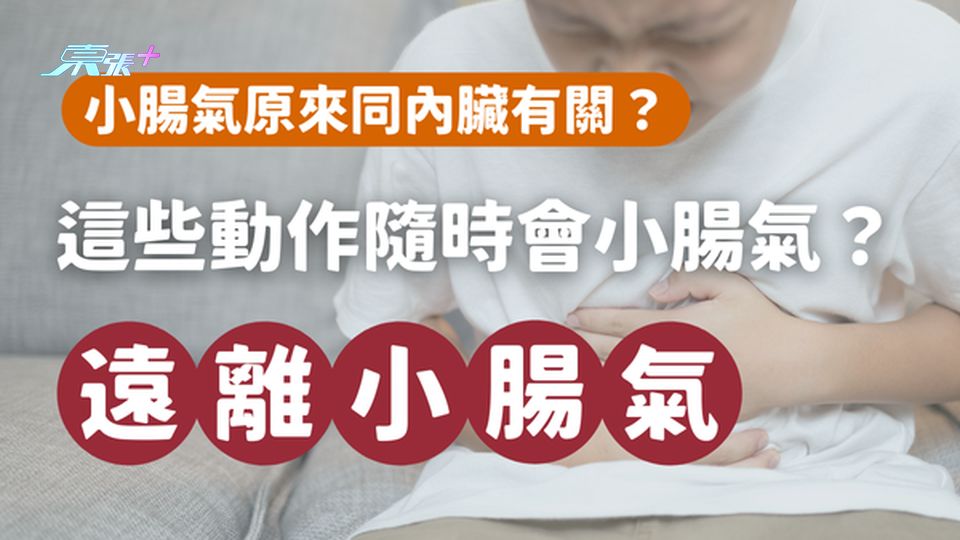 小腸氣原來同內臟有關？運動這些動作隨時會小腸氣？#至識健康