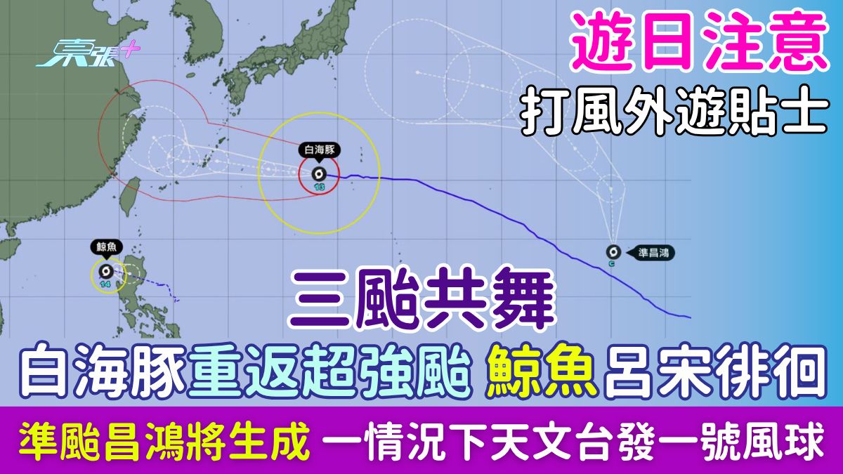 打風外遊貼士｜三颱共舞！白海豚重返超強颱、鯨魚呂宋徘徊 準颱昌鴻將生成 一情況下天文台發一號風球！