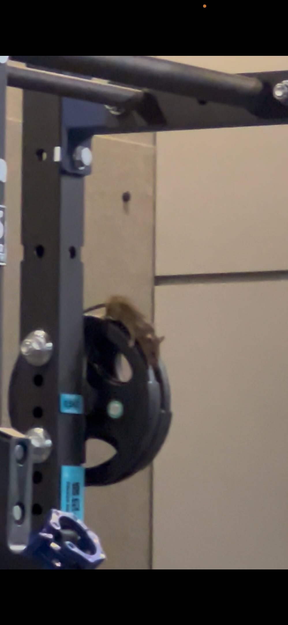 帖中的相片亦顯示，老鼠正停留在器材上。（Threads圖片／hei_nana0308）