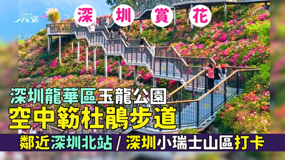 龍華區｜深圳玉龍公園空中簕杜鵑步道🌺 免費參觀/鄰近深圳北站🌸/深圳小瑞士山區打卡📸