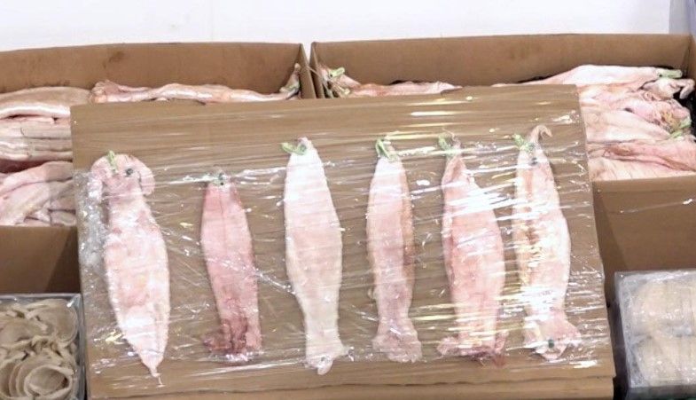 Tesla電動車「精密改裝」暗格，藏約520萬元走私鮑參翅肚。