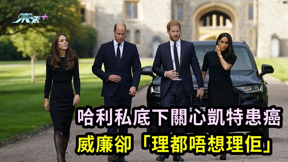 凱特患癌｜哈利私底下關心凱特患癌 威廉卻「理都唔想理佢」
