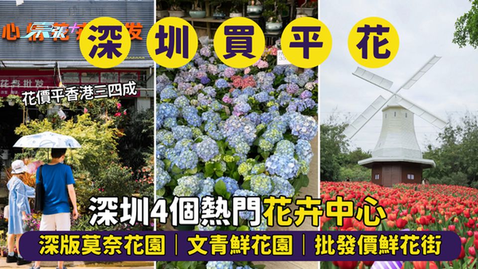 深圳4個熱門花卉中心🌹深版莫奈花園｜文青鮮花園☕｜批發價鮮花街🌻