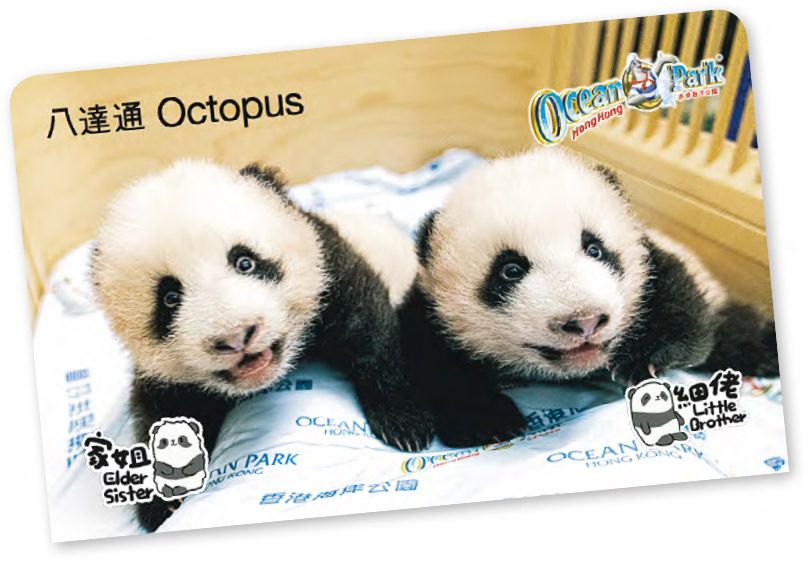 大熊貓珍藏版八達通