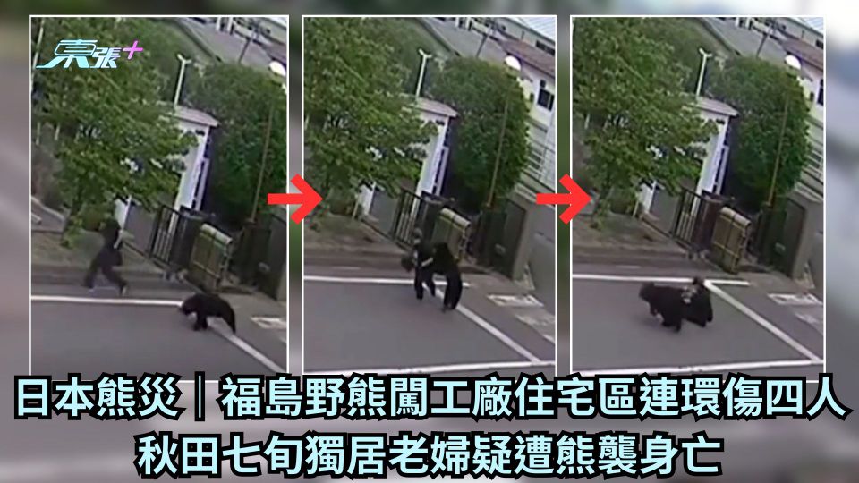 日本熊災｜福島野熊闖工廠住宅區連環傷四人 秋田七旬獨居老婦疑遭熊襲身亡