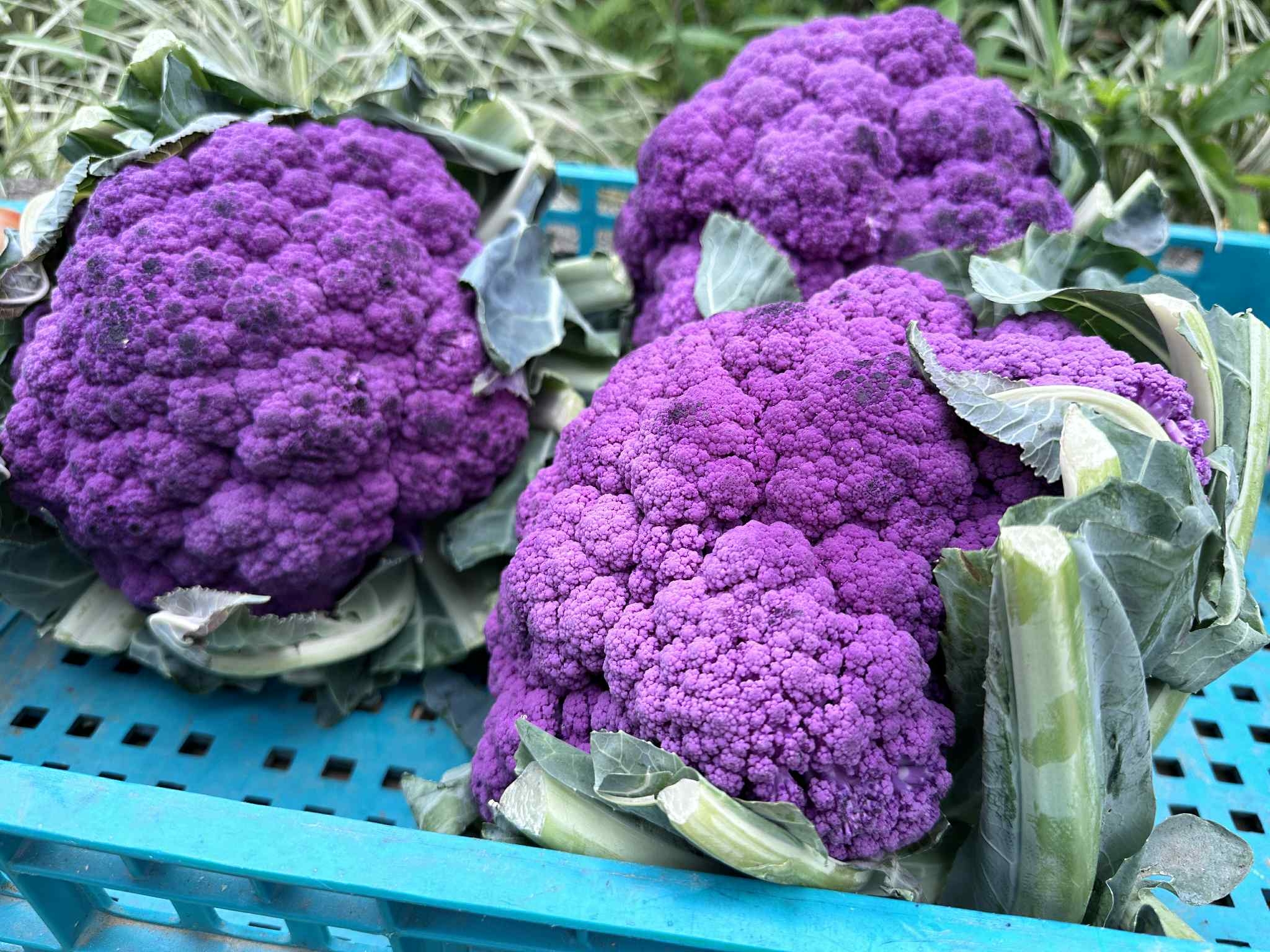 No photo description available.