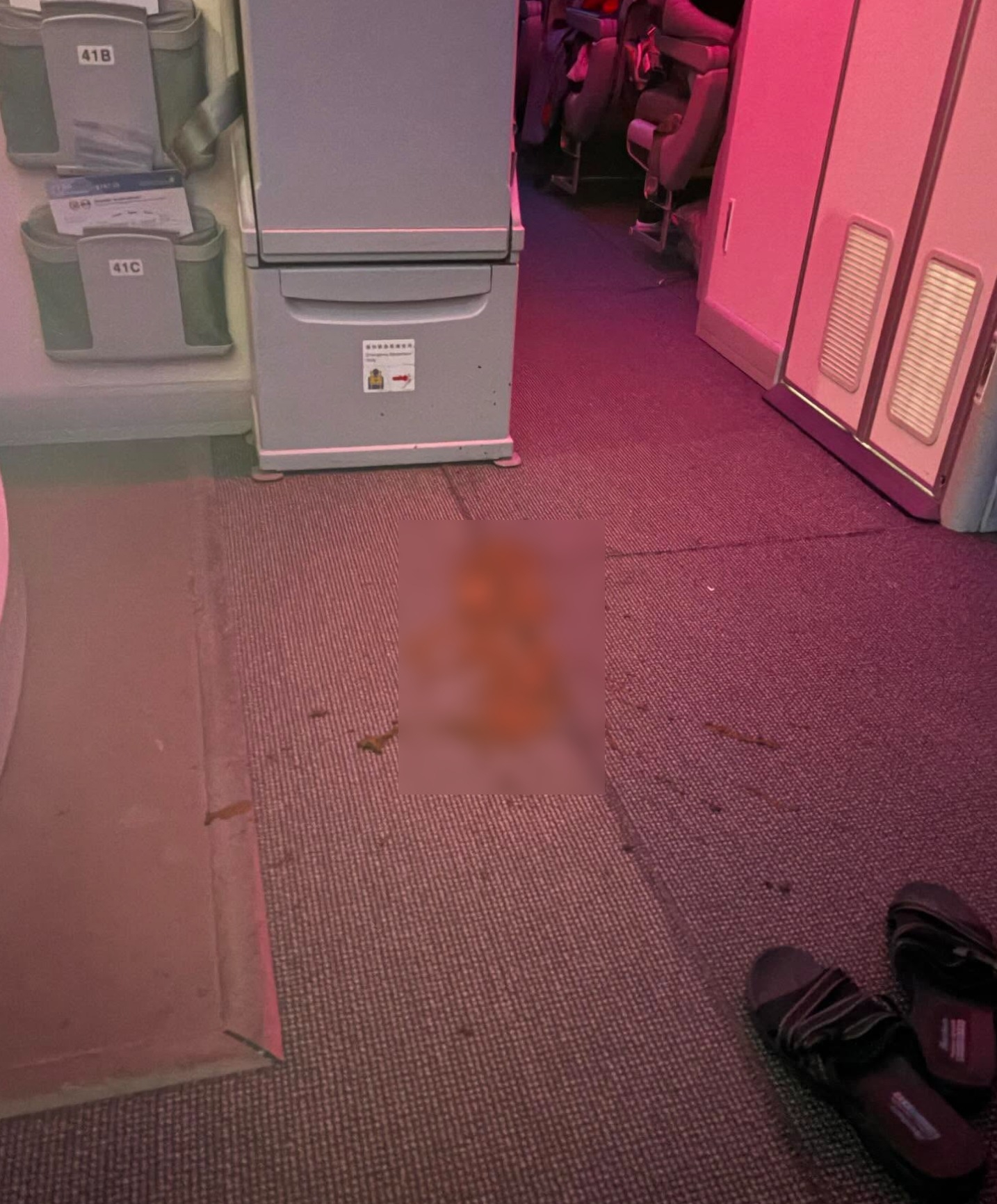 飛機廁所門口驚現大片屎蹤　空姐用一物成功辟味救場