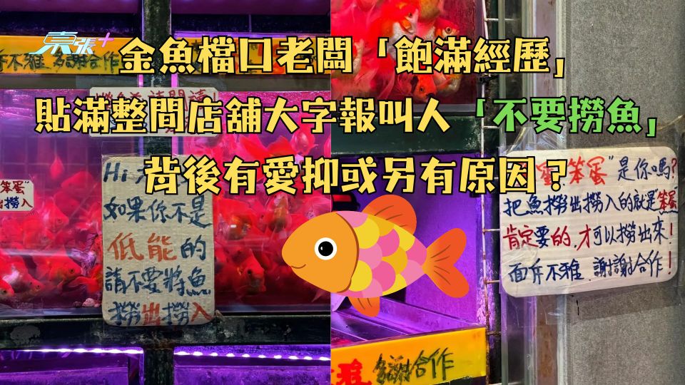 金魚檔口老闆「飽滿經歷」 貼滿整間店舖大字報叫人不要「撈魚」 背後有愛抑或另有原因？