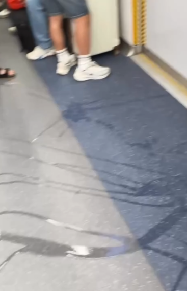 港鐵東鐵綫男子公然車廂內小便全被拍　滿地尿液周圍流動網民直呼嘔心