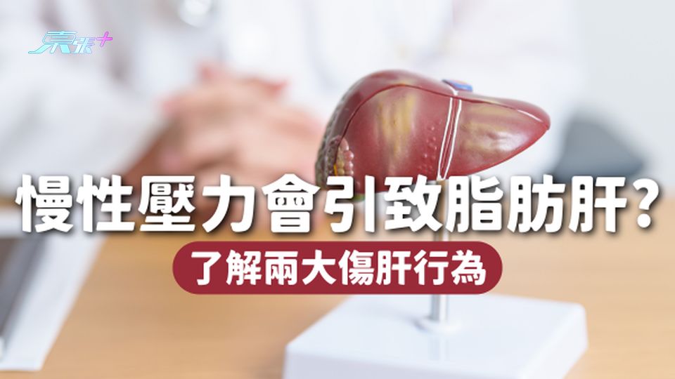 長期慢性壓力會引致脂肪肝!必知你每天都可能在做的兩大傷肝行為🚫