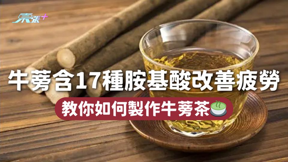 牛蒡 | 牛蒡含17種胺基酸改善疲勞 教你如何製作牛蒡茶🍵