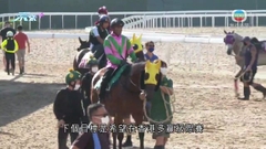 新練馬師伍鵬志望助香港賽馬更趨國際化