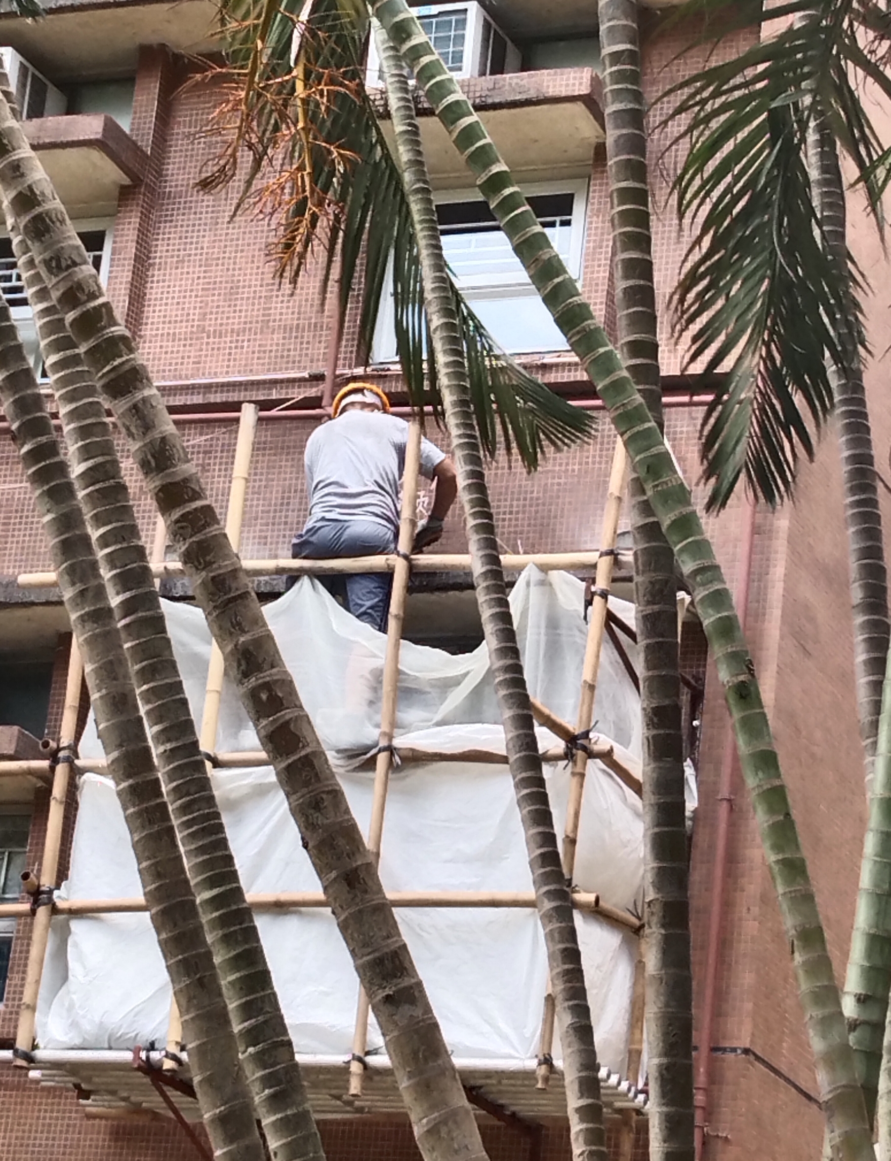 東張西望報料｜屯門屋苑工人疑高空開工無扣安全帶　街坊直擊「危險棚架作業」 （觀眾權先生（化名）報料）