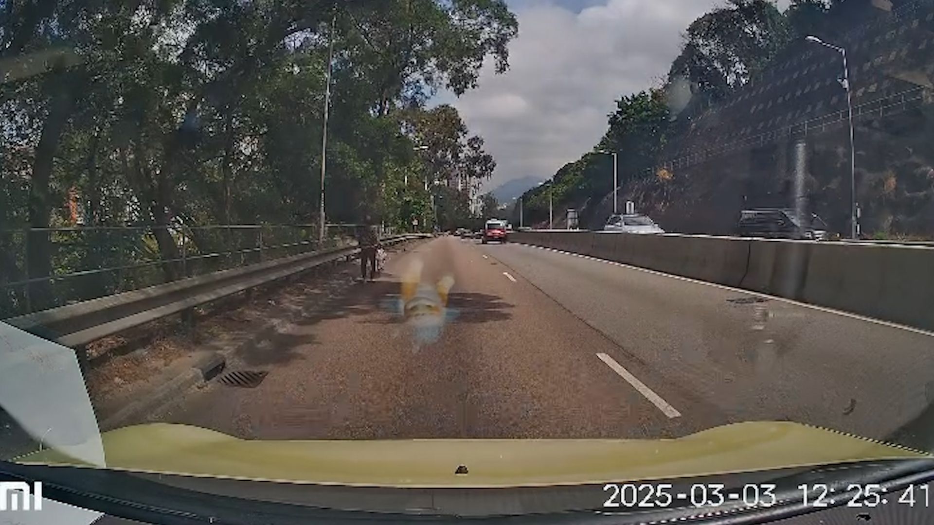 老婦獅子山隧道落錯巴士步行回家，熱心司機見狀開車送回家。(影片截圖)