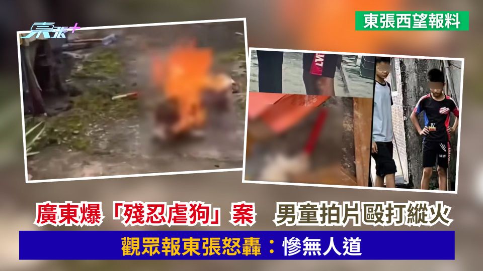 東張西望報料｜廣東爆「殘忍虐狗」案　男童拍片毆打縱火　觀眾報東張怒轟：慘無人道